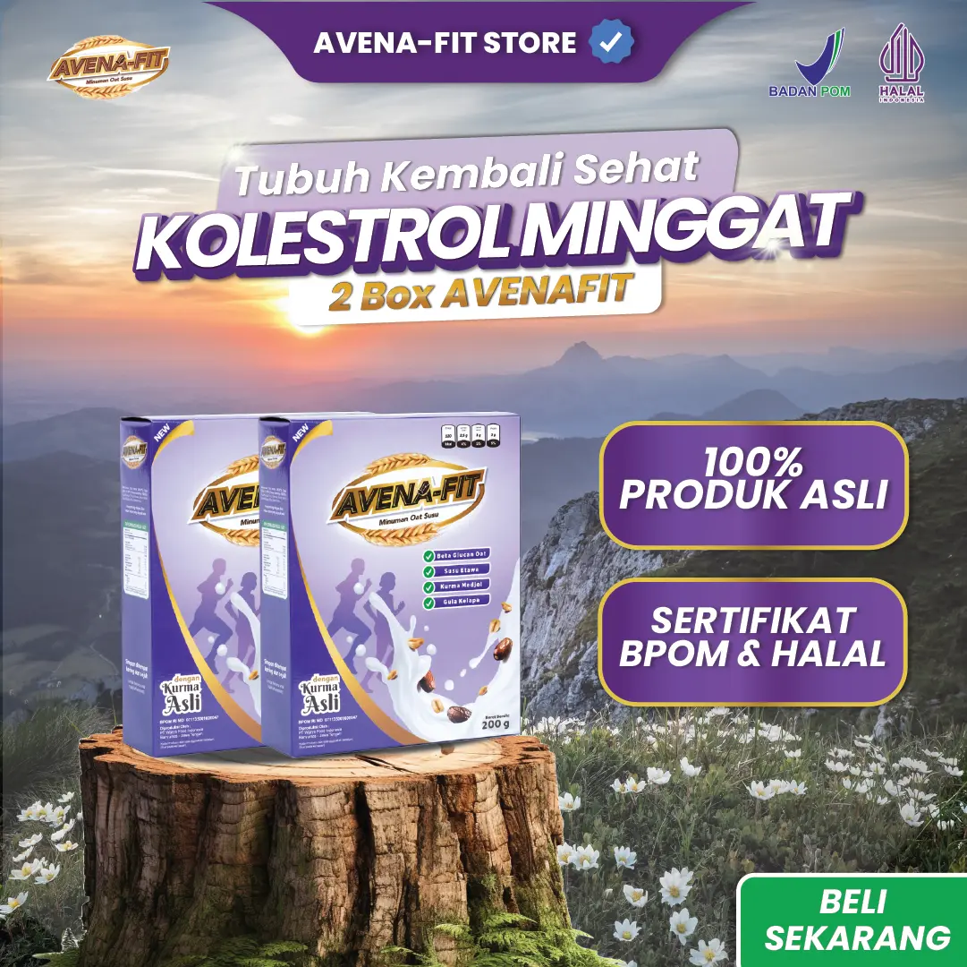 AVENAFIT Oat Susu Untuk Kontrol Kolesterol & Sarapan | Minuman Kesehatan Terbaik, 2 Box | Food, Granola, Oatmeal, Sereal Susu, Cereal Instan