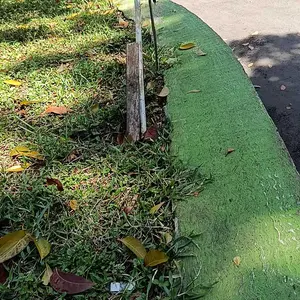 HARGA 1 BIJI Lampu Indikator Model DEMON EYE 12-24 Volt Nyala Warna Warni