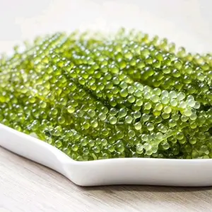 green caviar/anggur laut/Latoh khas jepara 200gram
