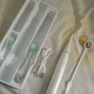 Smart Ultrasonic Sikat Gigi Elektrik IPX6 Waterproof Pembersih Karang Plak Gigi 2 in 1 ABS Stainless Steel USB Charging 500mAh Baterai