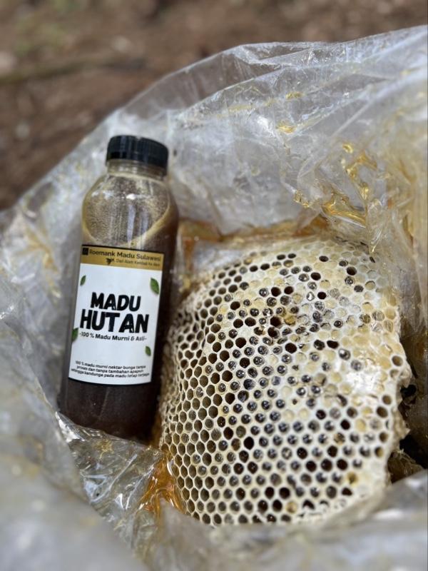 MADU HUTAN SULAWESI ASLI & MURNI MADU HUTAN SULAWESI ASLI & MURNI