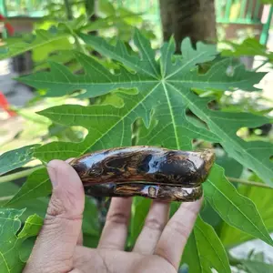 Gelang Akar Bahar Brahma Berbatik Model Plintir 100% Original Akar Bahar