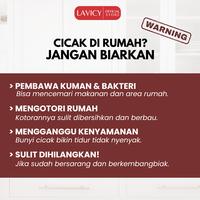Gambar LAVICY Aromatic Spray Pengusir Anti Cicak – Tanpa Racun, Rumah Bebas Cicak dengan Aroma Segar! - 250ml dari LAVICI.ID Kota Bandung 3 Tokopedia