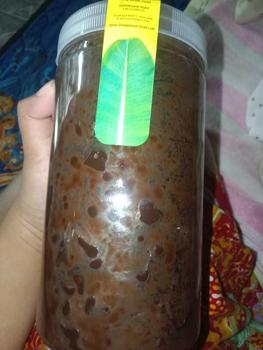 Product Review of Keripik pisang lumer toples 1000ml (350gram)  keripik & camilan isi  pisang from A**i 3