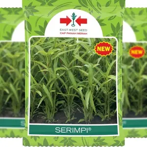 Benih Kangkung Hibrida  SERIMPI F1 Original Cap Panah Merah Isi 1500 butir