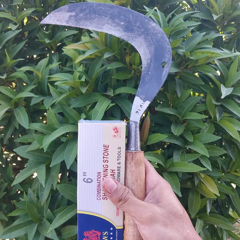 Sabit Bolong plat Cocok untuk Cari Rumput 1