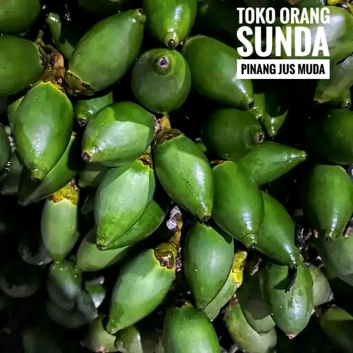 Pinang Muda Kualitas Terbaik 1 kg