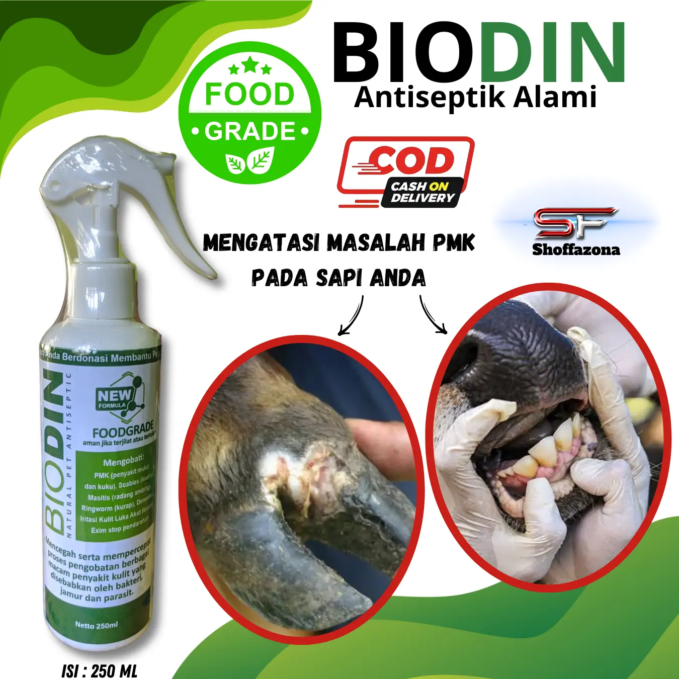 BIODIN BIOLIQ OBAT PMK SAPI SCABIES KUCING ANJING KELINCI BOROK KAMBING RUMINANSIA IRITASI KULIT LUKA LSD SAPI 250ML