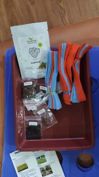 Product Review of Benih premium selada hijau kemasan urban farming from W**n 0