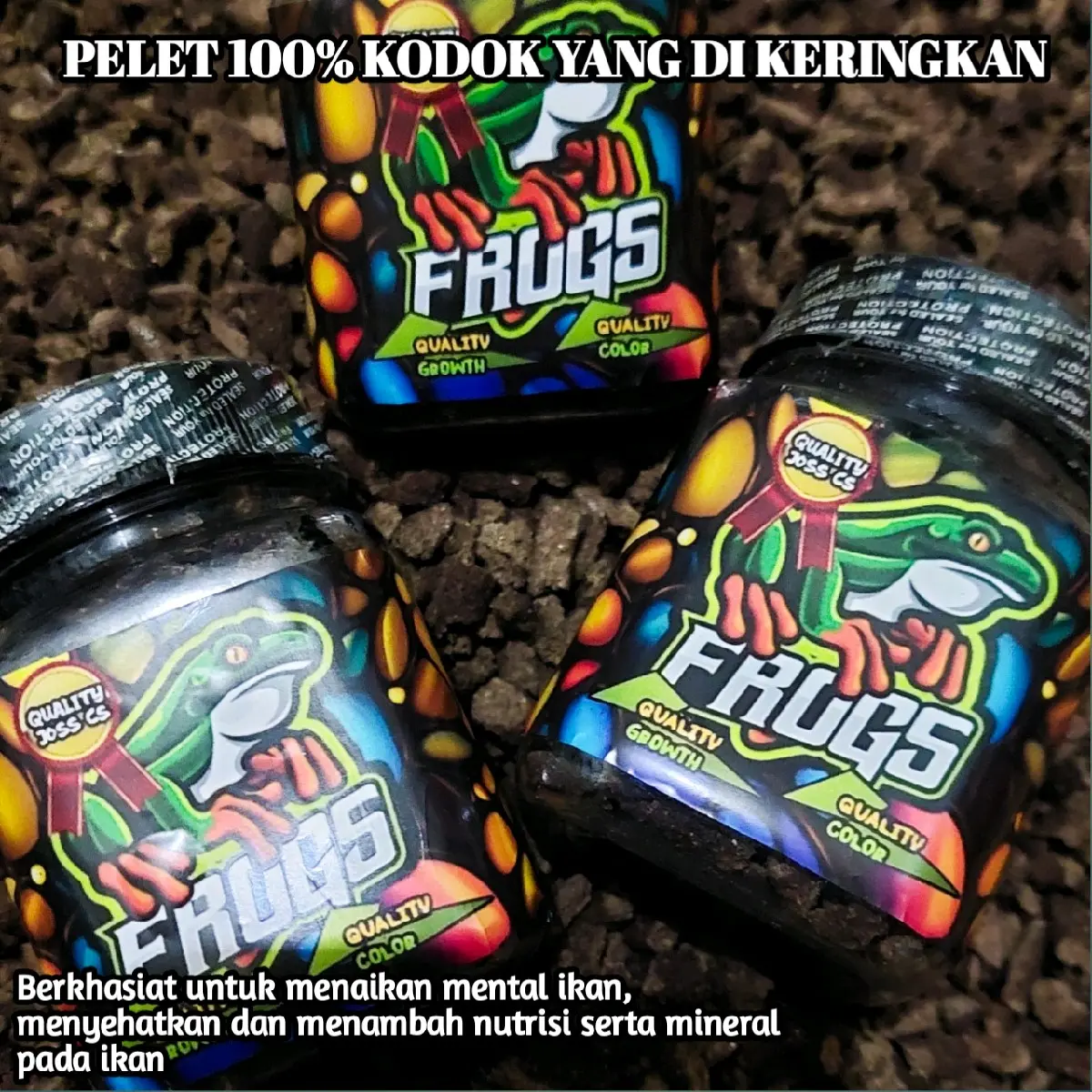 Pelet kodok kering 100% KODOK ORIGINAL