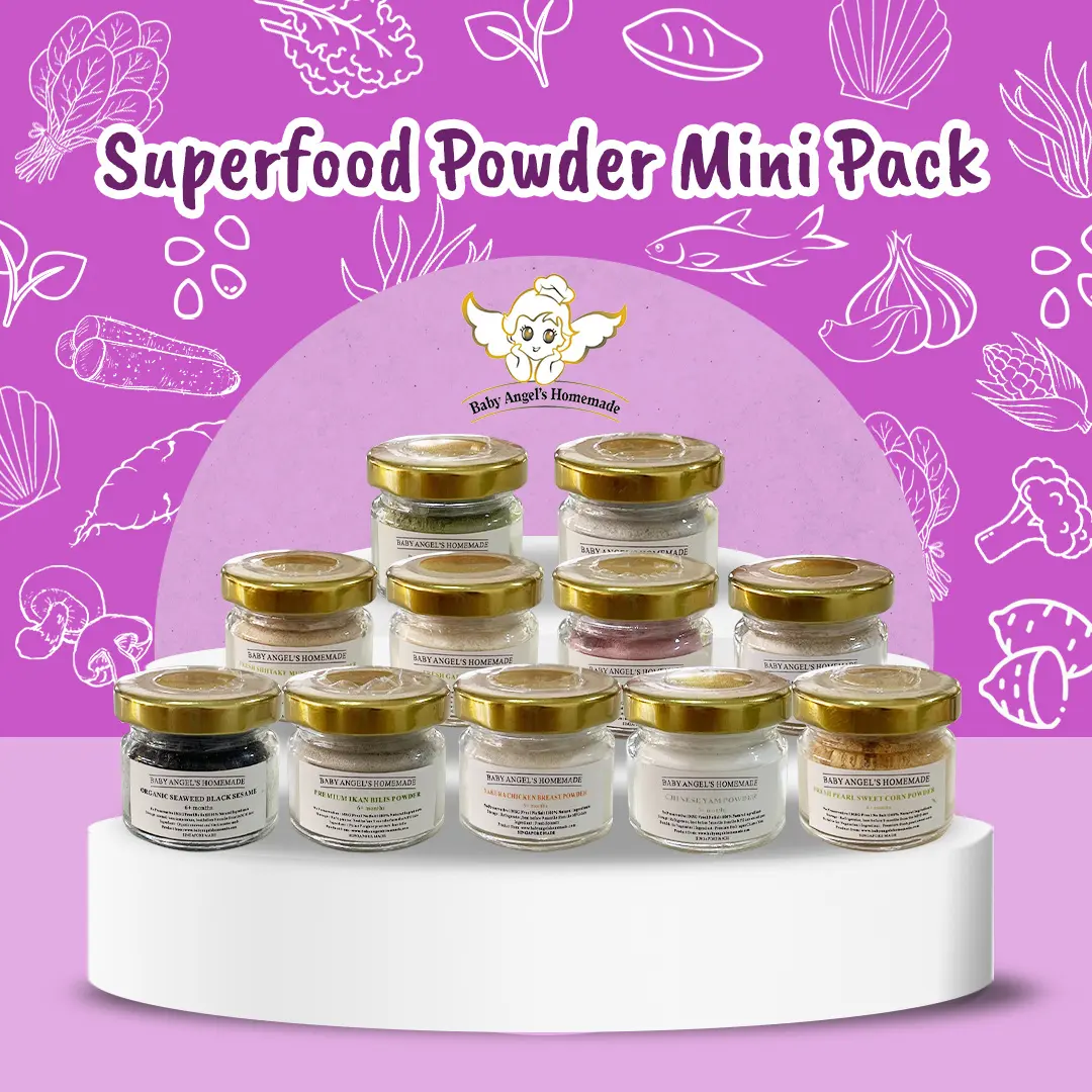 Baby Angel's Homemade Food Powder Starter/Travel Kit