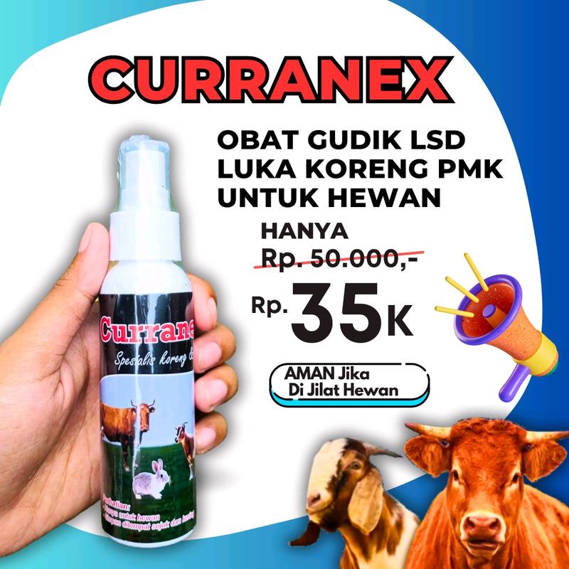 Yalangoch baland jojalar porno rasmlar Seksy muz teshik video