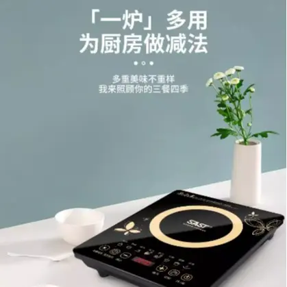 SAST Multi Purpose Induction Cooker - Ideal for Home Use