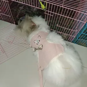 [HACIKO PETSHOP] Tali Tuntun Hewan Peliharaan Pola Beruang Lucu Untuk Anjing Kucing Dan Kelinci Nyaman Dan Aman.