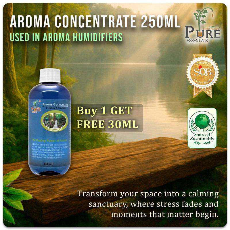 【Pure Essentials】 Aroma Concentrate 250ML For Humidifier ball diffuser ...
