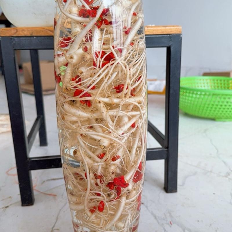 Sâm cát cánh Tây Bắc - Đặc Sản Đồ Ngâm Tây Bắc