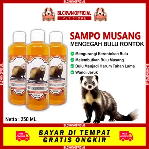 Shampo Mandi Musang Wangi Jeruk Anti Rontok Jamur