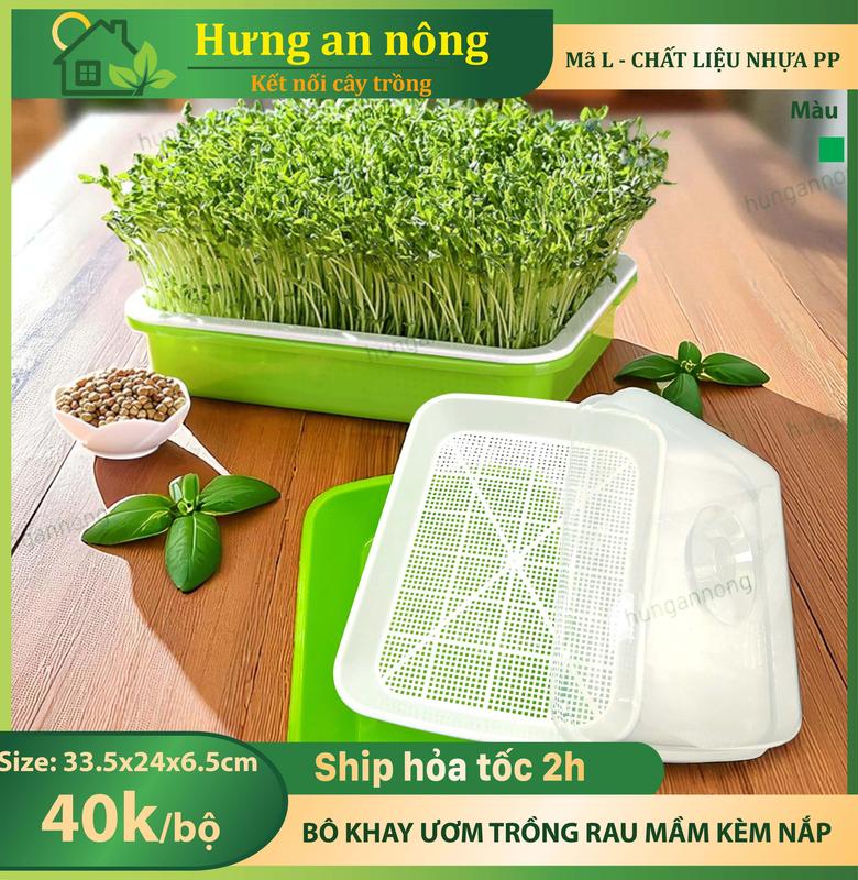 KAL – Bộ khay nhựa sâu lòng trồng rau mầm kèm nắp đậy giữ ẩm - tái sử dụng