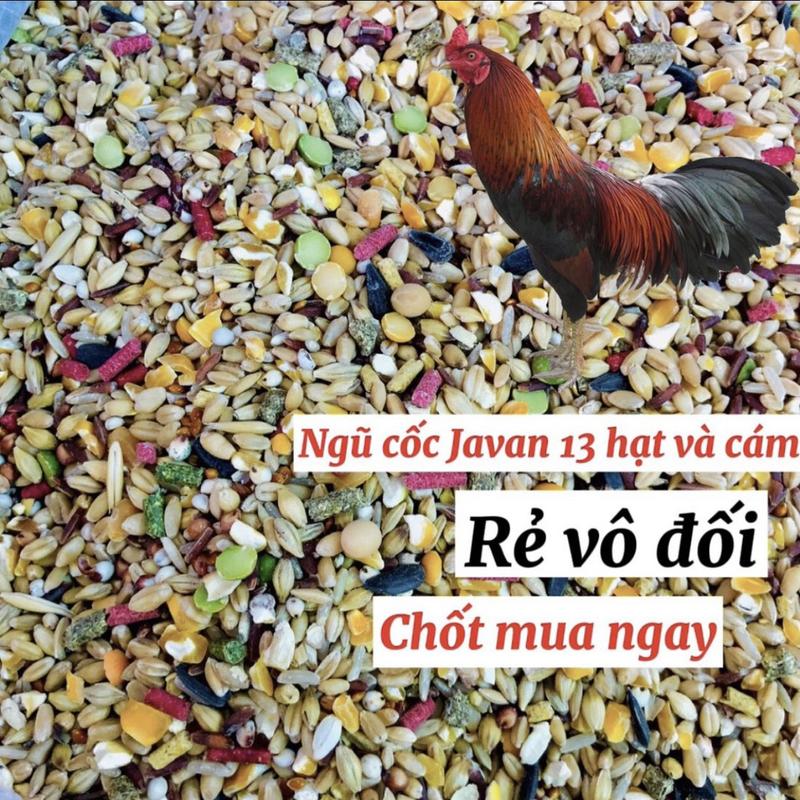  Javan - Ngũ Cốc Gà Đá Javan Mix 1kg Thức Ăn Chiến Kê Với 13 Loại Hạt Và Cám Dinh Dưỡng Cân Đối Tăng Sức Đề Kháng Phù Hợp Cho Nuôi Nhiều Chế Độ 