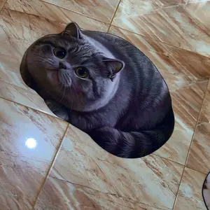 Keset Kamar Mandi Diatomite Motif Kucing 3D Premium Anti Slip 40x60 Cm Tebal Lembut untuk Kamar Tidur Ruang Tamu & Dekorasi Rumah
