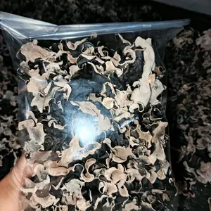 jamur kuping kering kemasan 250 gram