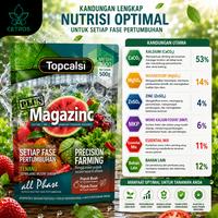 Gambar CETROS~ 500gr Magazinc Plus Pupuk Kalsium Calsium Tanaman Anti Rontok Bunga Buah Jamur Busuk dan Layu | Memperkuat Daya Tahan Tanaman | Vitamin dan Suplemen dari CETROS.ID Kab. Banyuwangi 5 Tokopedia