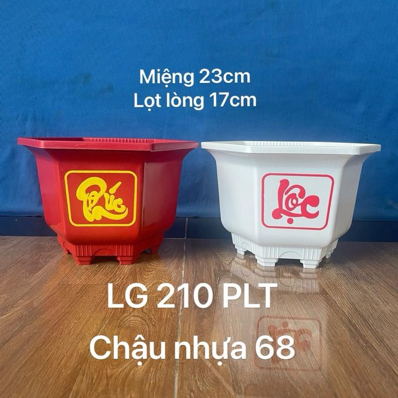    5 10 30 Cái   Chậu Nhựa Trồng Cây Lục Giác 210 In Chữ Phúc Lộc Thọ Dày Dặn 23x15cm 