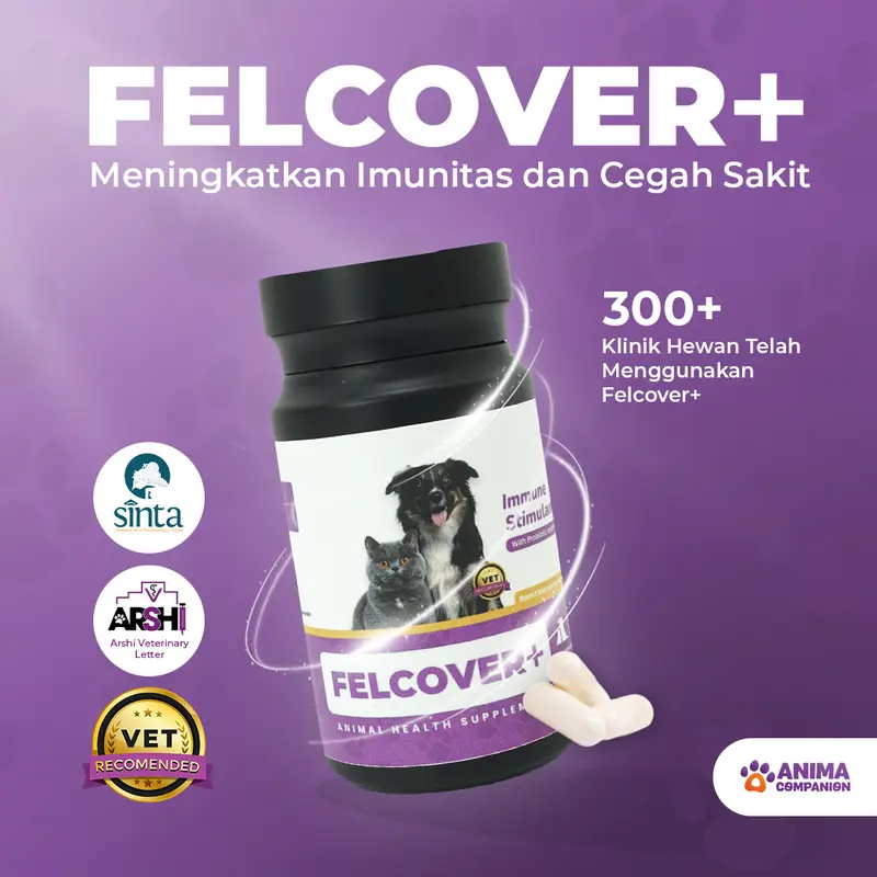 FELCOVER+ Original Fast Recovery and Immune All in One Solution