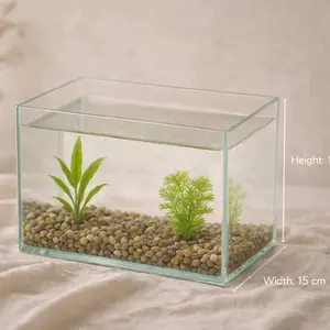 soliter ikan cupang 15x10x10 cm tebal kaca 5mm