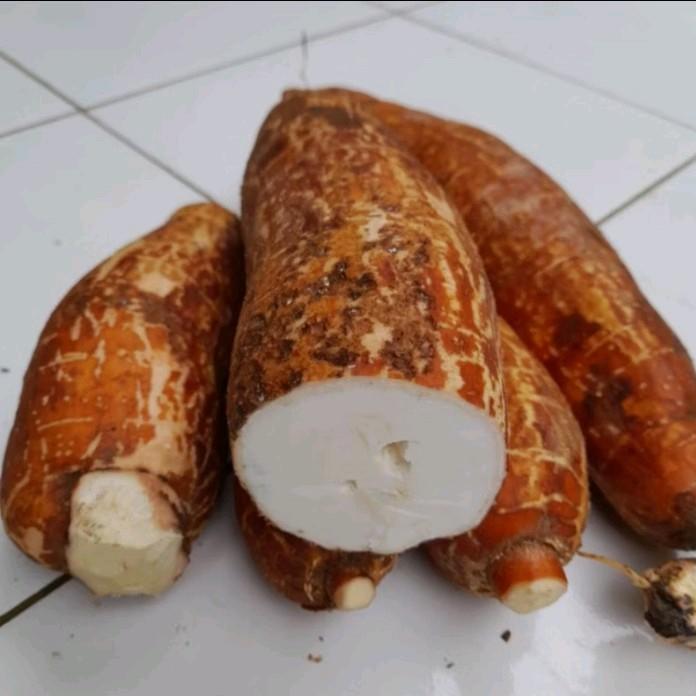 Singkong pulen enak manis singkong mentah 1kg 3