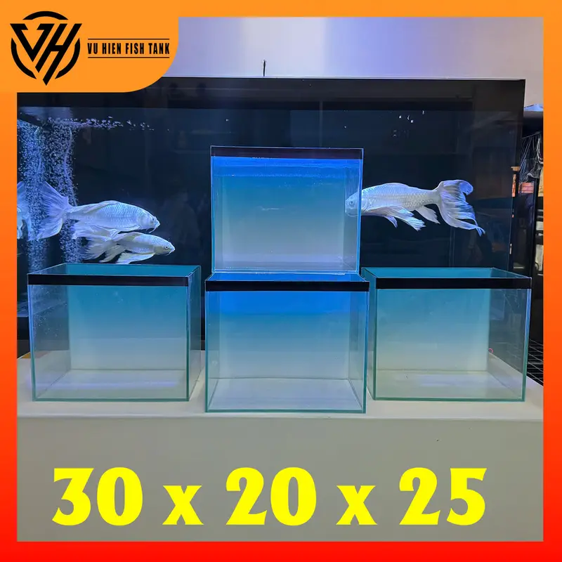 Hồ 30x20x25 bả keo đen tặng tranh BlueSky 1
