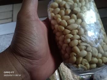 Product Review of 5 bungkus Kacang Kupas Asli Tuban 250g x 5 Bungkus - Total Berat 1,250g - Goreng, Food, Mete, Kering, Snack, Cemilan Bawang Makanan Camilan Mede from t**2 2