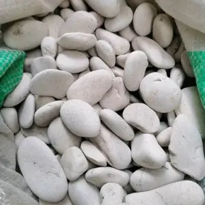 Batu Koral Putih Kemasan 1kg - 3kg, Batu Alam Berkualitas Tinggi untuk Dekorasi dan Kebutuhan Rumah