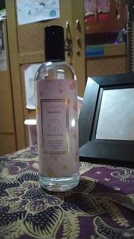 Product Review of Parfum Evangeline Premium 100ml Eau De Parfum Perfume Wangi Liquid Terwangi from c**a 0