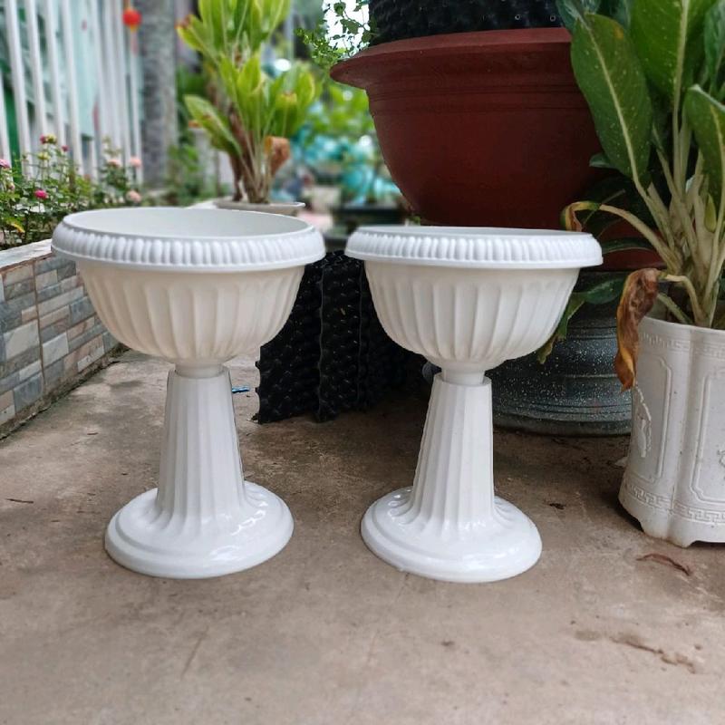 Combo 2 cái chậu ly trung sang chảnh,trồng hoa cực đẹp ,rộng 30x cao40cm