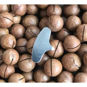 Laris Snack Kacang Macadamia Panggang 1kg/500gr