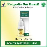 Gambar Telinga Berdenging, Berdengung Herbal Alami - Propolis SM Ori Brazil bersihkan gatal Tetes Cair - 1 BOTOL PSM dari Alfhafauzy Herbal Kota Administrasi Jakarta Barat 4 Tokopedia