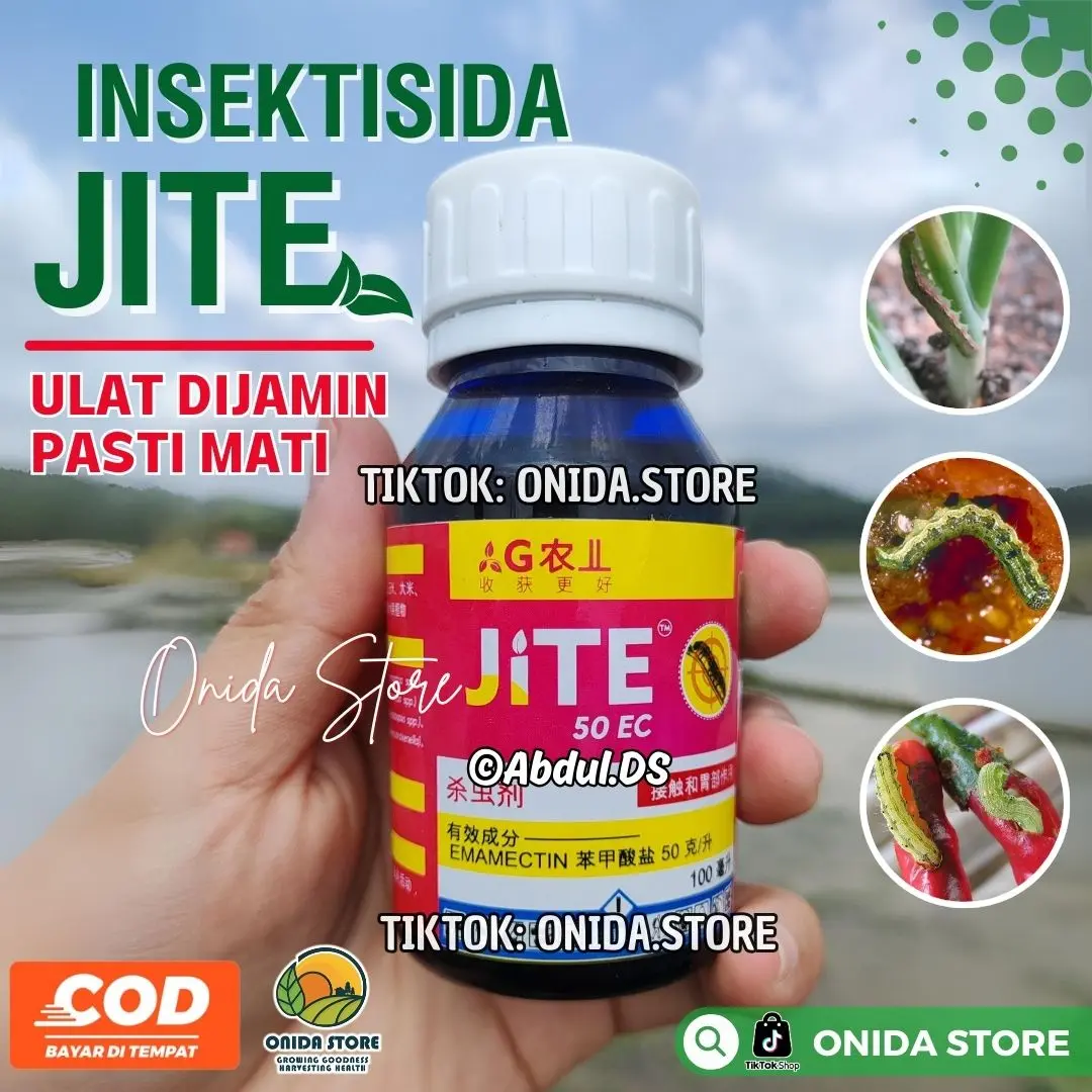 JITE Insektisida Mengatasi Hama Ulat Grayak, Thrips pada Tanaman Bawang Merah, Cabai, Tomat, Padi, Buah-buahan