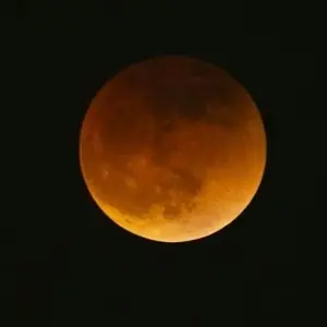 GUANJIE - Automatic Cup Washer Mesin Cuci Gelas Alat Cuci Gelas Alat Pembersih Otomatis