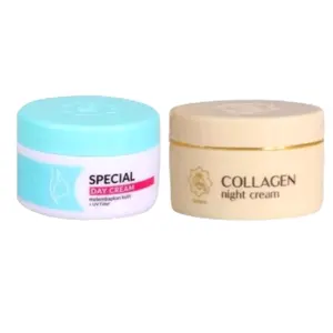 (BISA COD) Paket Viva isi 2pcs (Day+Night) Semua Jenis Kulit