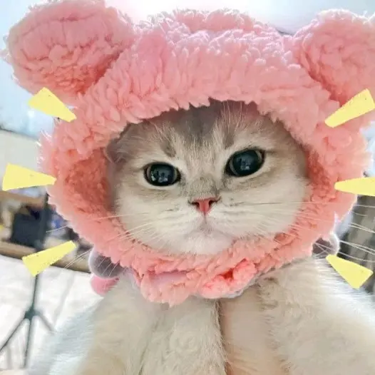 BABE PETSHOP Topi Lucu Kucing Anjing Topi Beruang Panda Kelinci Bunny hat Pet bear hat Kostum Aksesoris Topi Beruang Kelinci Bando Topi Beruang Pet bunny Hat singa 1