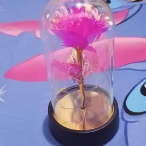 JAKI Lampu LED DIY Bunga Ruangan Kamar Glass Mawar Dekorasi Beauty And The Beast Rose | Hampers Pajangan Kado Hiasan