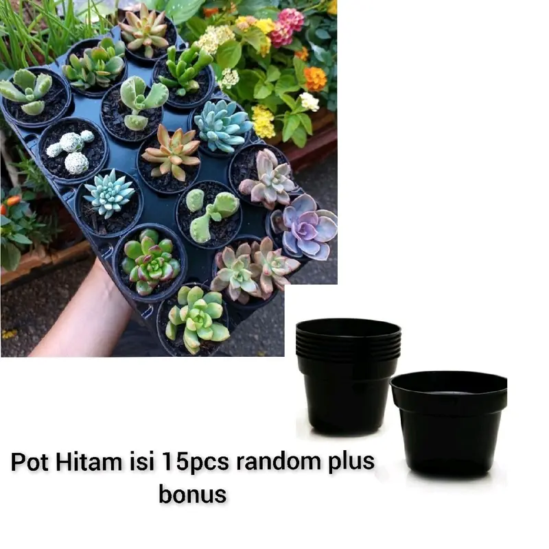 pot hitam paket isi 15pcs (RANDOM) 0