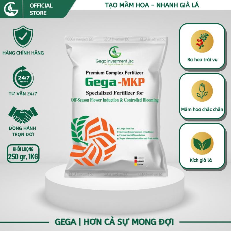 Phân Hóa Mầm Hoa Phân Bón Lá GEGA MKP Làm Già Lá Tạo Mầm Đồng Loạt Hoa Ra Nhiều Xử Lý Ra Hoa Nghịch Vụ-gói 250gr & 1kg