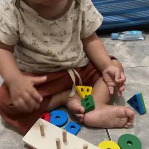 MAINAN EDUKASI ANAK BASIC SHAPE KAYU BALOK GEOMETRI TOYS BENTUK WARNA