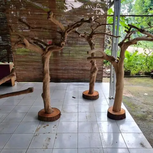 media tempel anggrek kayu kopi asli tinggi 100-130