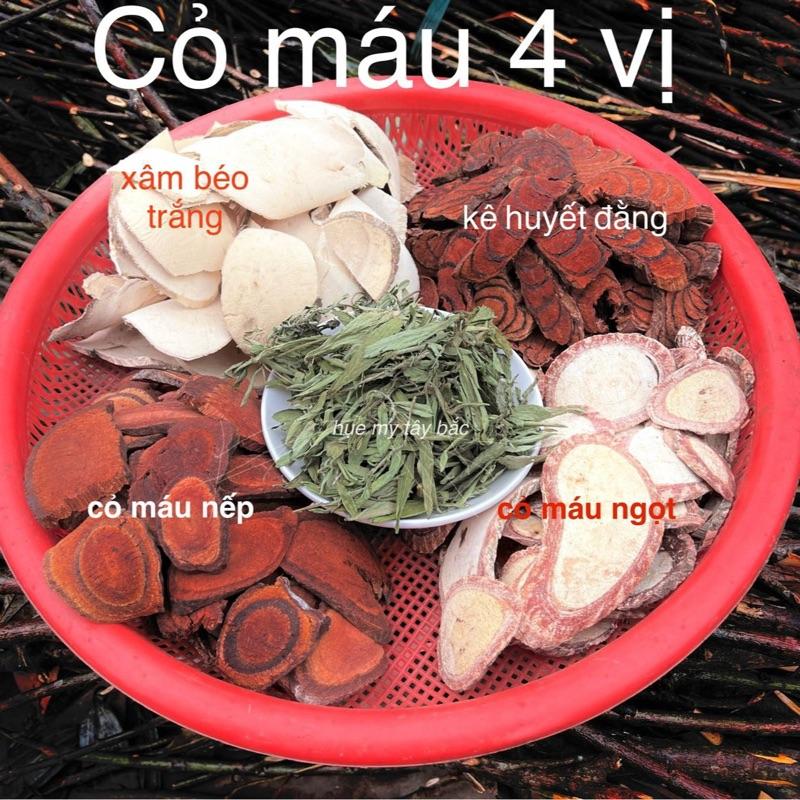HUỆ MY Trà Cỏ máu mix 4 vị  dùng cho 50-60 ngày - Xâm Bổ Béo Trắng Cỏ Máu Ngọt Nếp Kê Huyết Đằng Tăng KG Rối Loạn Tiền Đình Hỗ Trợ Bổ Dưỡng Cơ Thể Dễ Sử Dụng