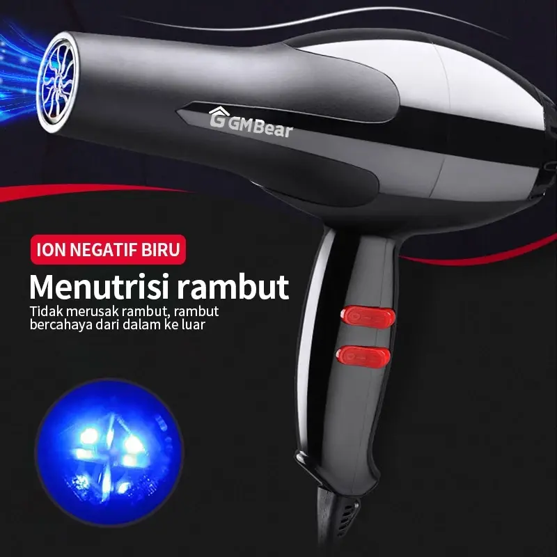Hair Dryer Alat Pengering Rambut Profesional Beauty Salon Haircare
