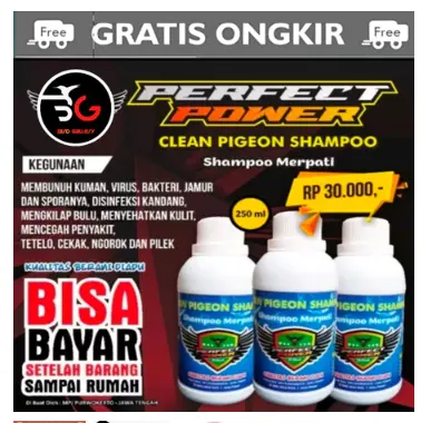 PIGEON SHAMPO BURUNG MERPATI 250 ML SAMPO CLEAN PEGIEON BASMI KUTU MERPATI