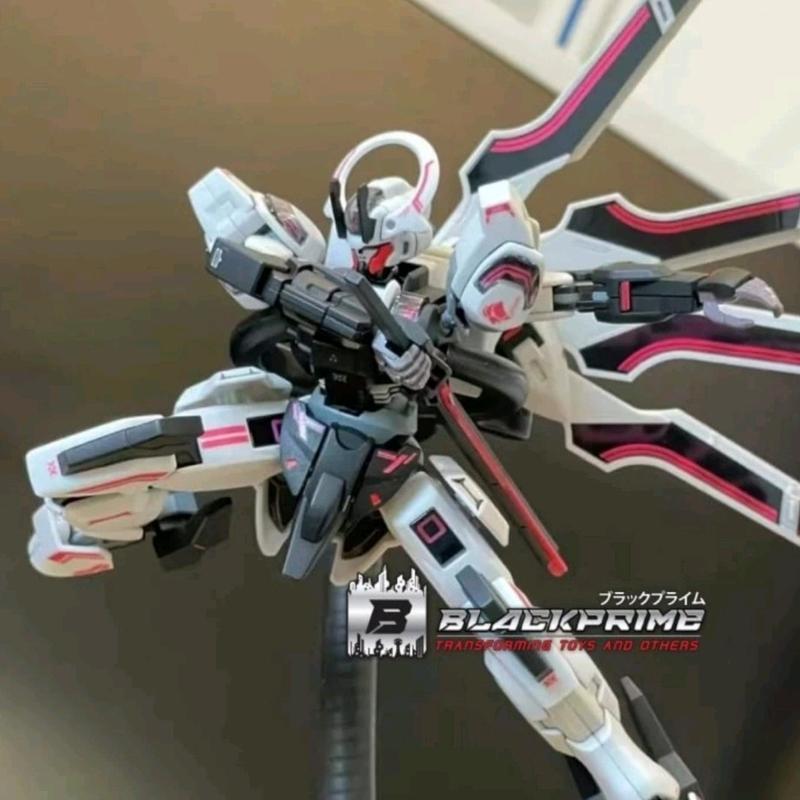 Model Kit HG Schwarzette JMS 1/144 schwarzette fighter - Shop | Tokopedia